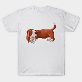 Cute long dog of breed Basset Hound. T-Shirt